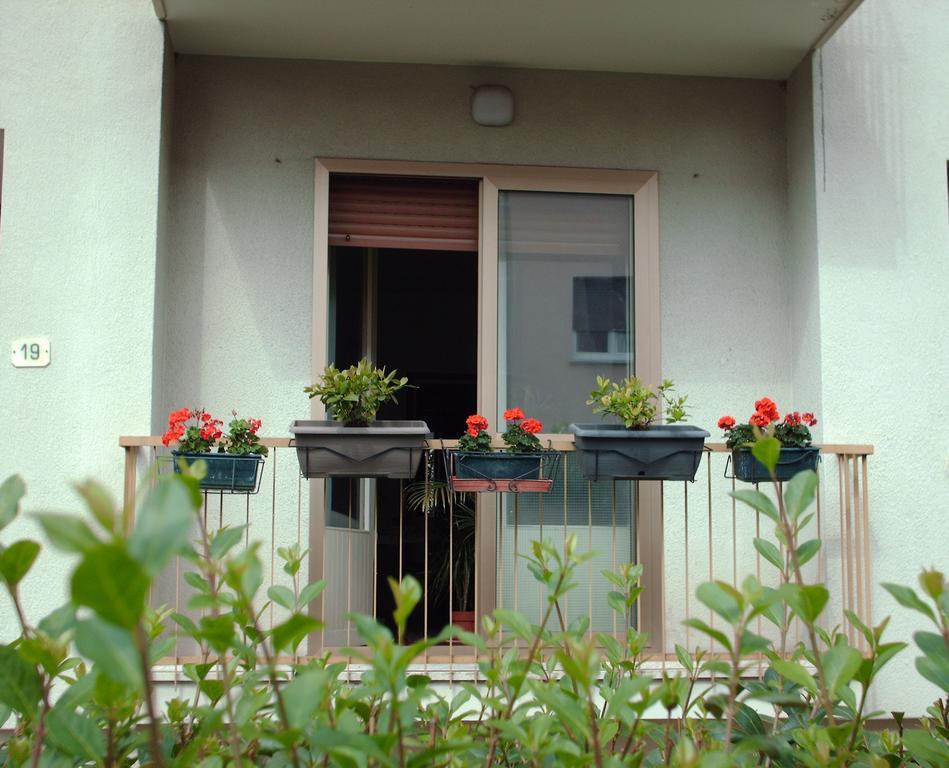 Guest House Cuore Del Friuli Udine Exterior foto